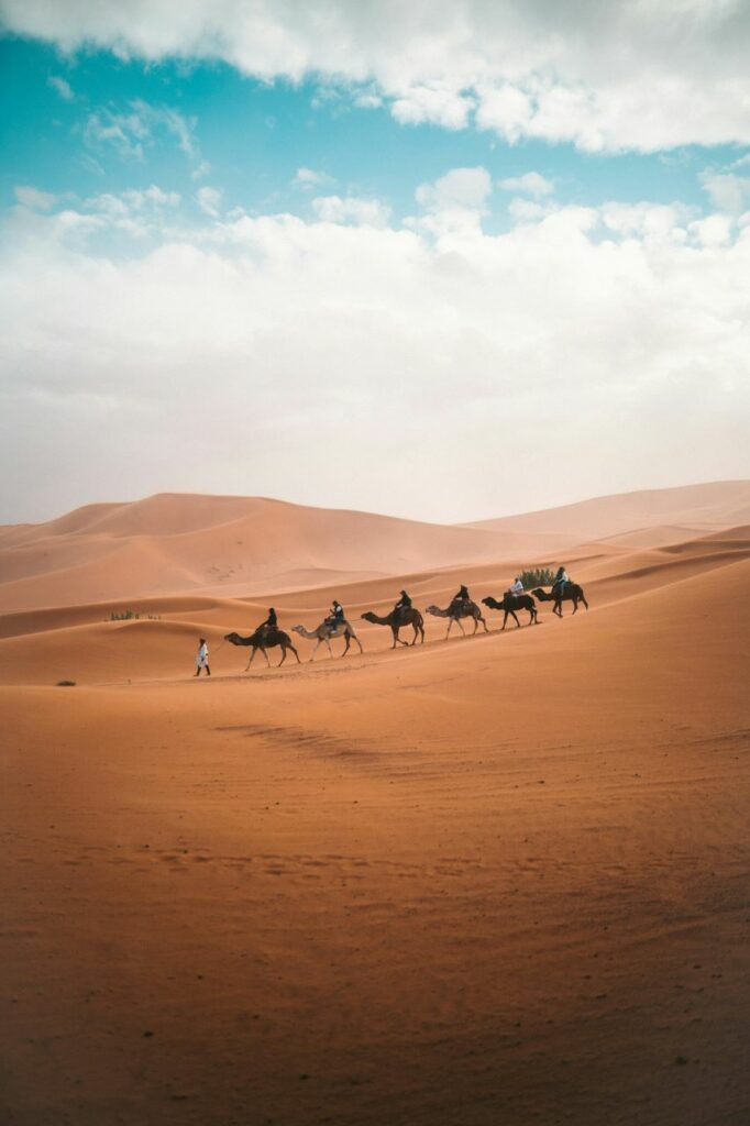 Delight_in_Camel_Rides_in_the_Sahara_